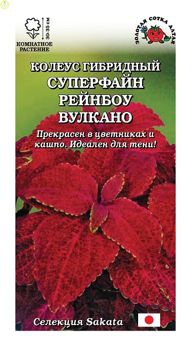 Купить оптом в Ботанике семена Колеус Суперфайн Рейнбоу вулкано ЗС бренд Золотая сотка