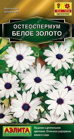 Купить оптом в Ботанике семена Остеоспермум Белое золото Аэл бренд Аэлита