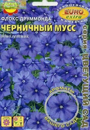 Купить оптом в Ботанике семена Флокс Черничный мусс друммонда Аэл бренд Аэлита