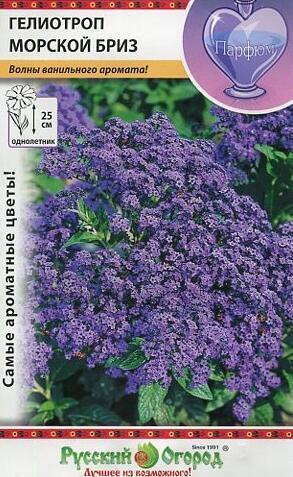 Купить оптом в Ботанике семена Гелиотроп Морской бриз НК бренд НК