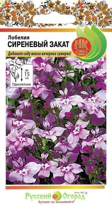 Купить оптом в Ботанике семена Лобелия Сиреневый закат НК бренд НК