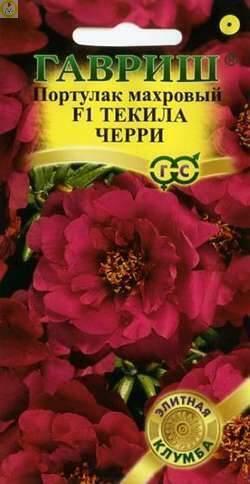 Купить оптом в Ботанике семена Портулак Текила Черри Гав бренд Гавриш
