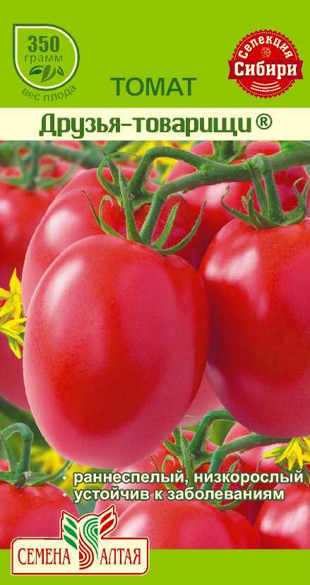 Купить оптом в Ботанике семена Томат Друзья товарищи СА бренд Семена Алтая