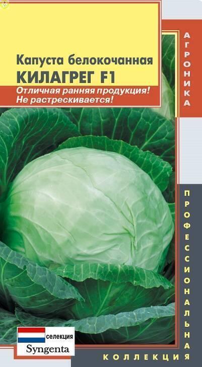 Купить оптом в Ботанике семена Капуста белокочанная Килагрег F1 Плз бренд Плазмас