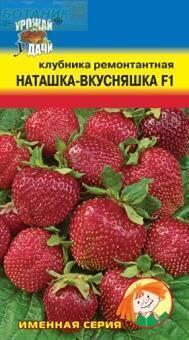 Купить оптом в Ботанике семена Клубника Наташка-вкусняшка F1 УУ бренд Урожай Удачи