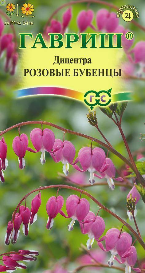 Купить оптом в Ботанике семена Дицентра Розовые бубенцы Гав бренд Гавриш