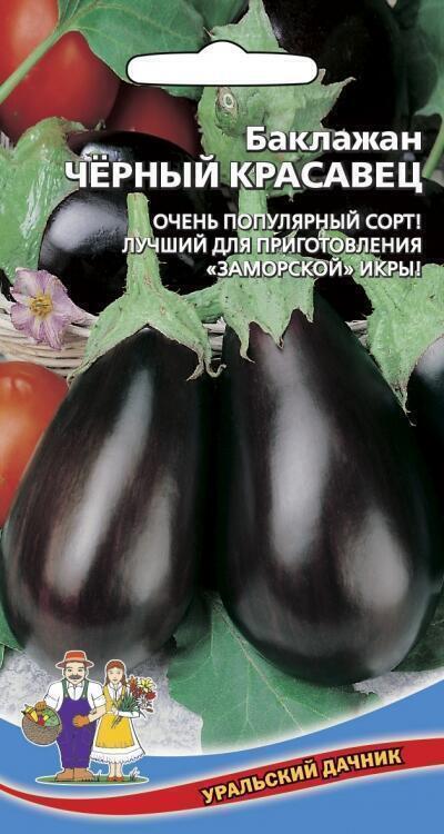 Купить оптом в Ботанике семена Баклажан Черный красавец УД бренд Уральский дачник