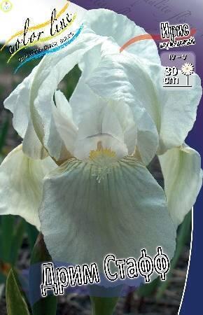 Купить оптом в Ботанике Ирис Дрим Стафф 50 шт