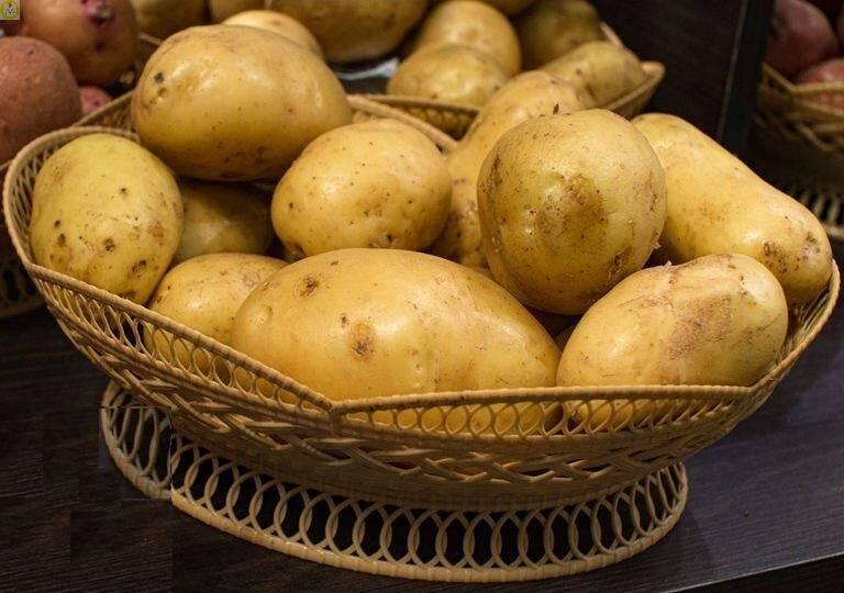 Купить оптом в Ботанике Картофель семенной Ассоль Э 1кг (мешки 25-30кг)+/-2%