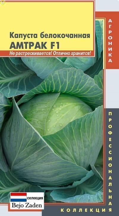 Купить оптом в Ботанике семена Капуста белокочанная Амтрак F1 Плз бренд Плазмас