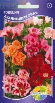 Купить оптом в Ботанике семена Годеция Азалиецветковая смесь Акв бренд Акварель