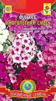 Купить оптом в Ботанике семена Флокс Многолетняя смесь Плз бренд Плазмас