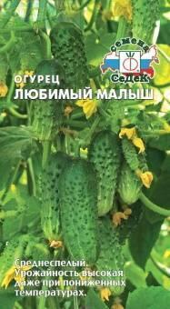 Купить оптом в Ботанике семена Огурец Любимый малыш Сед бренд СеДеК