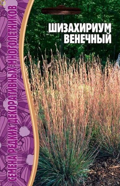 Купить оптом в Ботанике семена Шизахириум Венечный Реш бренд Решение, ООО