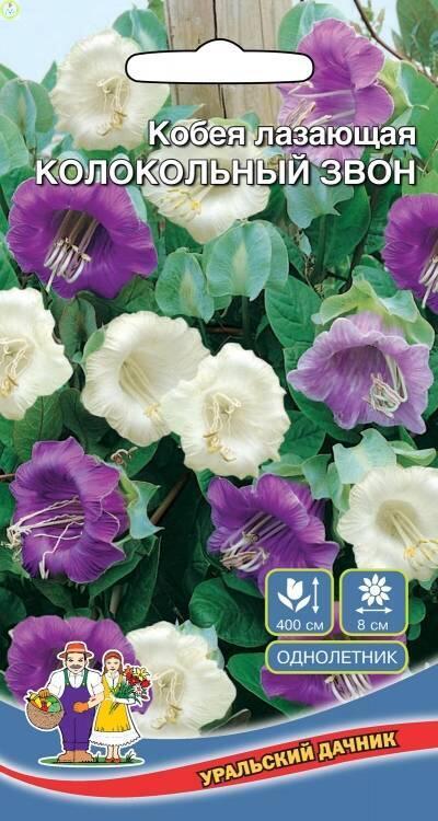 Купить оптом в Ботанике семена Кобея Колокольный звон УД бренд Уральский дачник