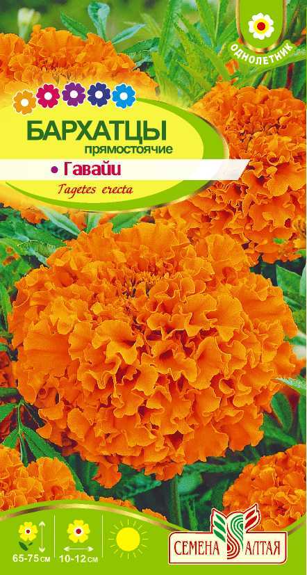 Купить оптом в Ботанике семена Бархатцы Гавайи СА бренд Семена Алтая