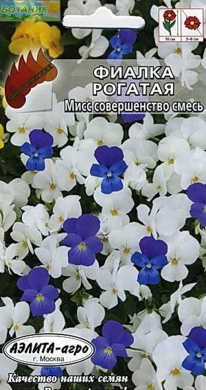 Купить оптом в Ботанике семена Фиалка Мисс совершенство Аэл бренд Аэлита