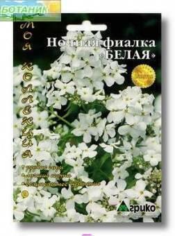 Купить оптом в Ботанике семена Фиалка Ночная белая Агр бренд Агрико