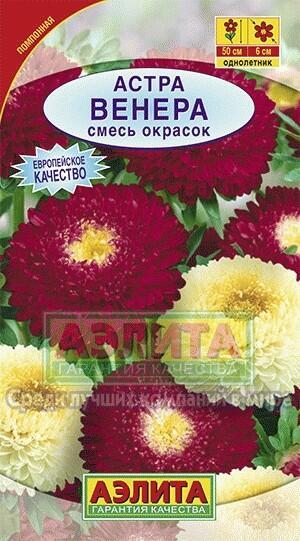 Купить оптом в Ботанике семена Астра Венера смесь Аэл бренд Аэлита