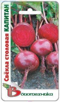 Купить оптом в Ботанике семена Свекла столовая Капитан Био бренд Биотехника