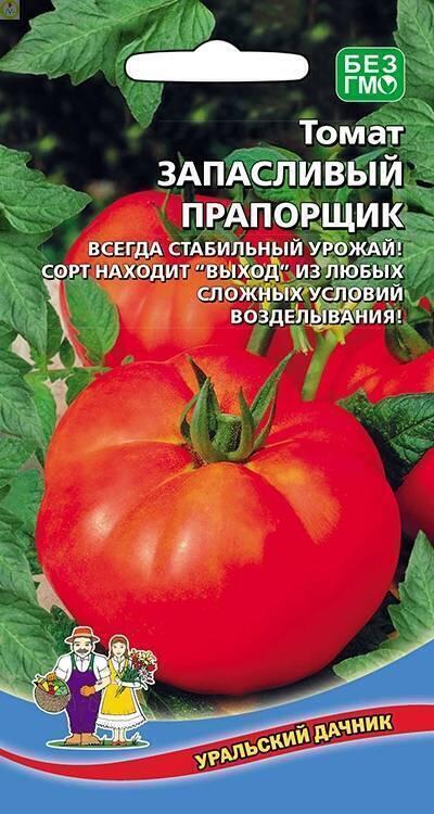 Купить оптом в Ботанике семена Томат Запасливый прапорщик УД бренд Уральский дачник