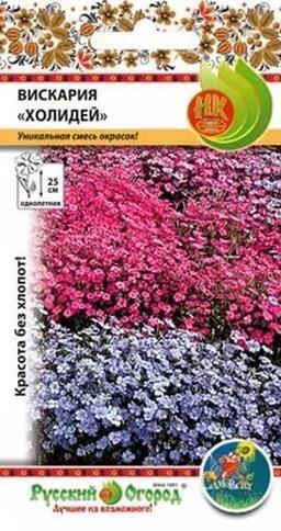 Купить оптом в Ботанике семена Вискария Холидей смесь НК бренд НК