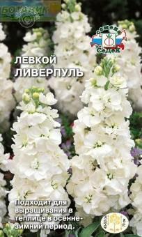 Купить оптом в Ботанике семена Левкой Ливерпуль Сед бренд СеДеК