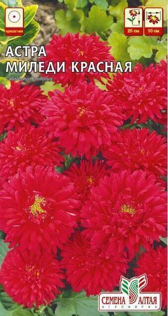 Купить оптом в Ботанике семена Астра Миледи красная СА бренд Семена Алтая