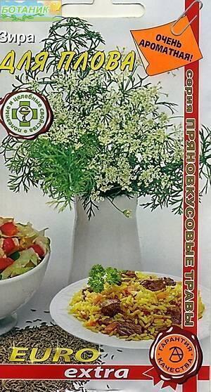 Купить оптом в Ботанике семена Зира Для плова Аэл бренд Аэлита