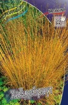 Купить оптом в Ботанике Молиния Хайдебраут 2 шт