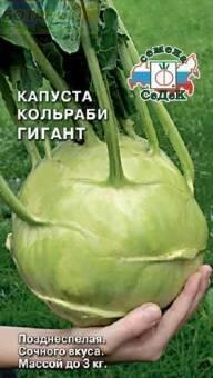 Купить оптом в Ботанике семена Капуста кольраби Гигант Сед бренд СеДеК