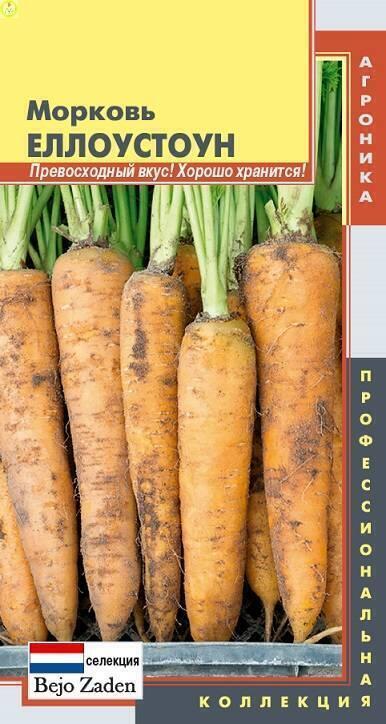 Купить оптом в Ботанике семена Морковь Еллоустоун Плз бренд Плазмас