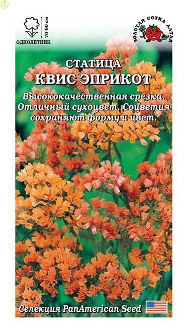 Купить оптом в Ботанике семена Статица Квис эприкот ЗС бренд Золотая сотка