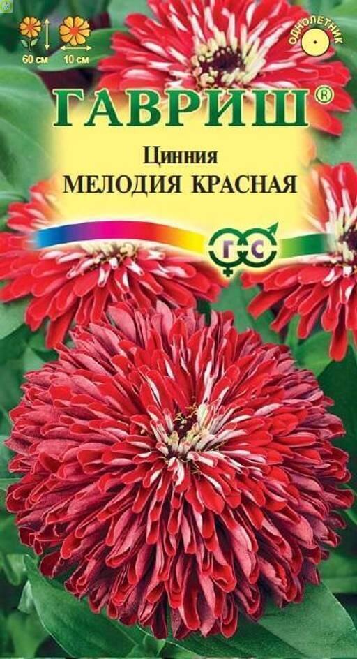 Купить оптом в Ботанике семена Цинния Мелодия красная Гав бренд Гавриш