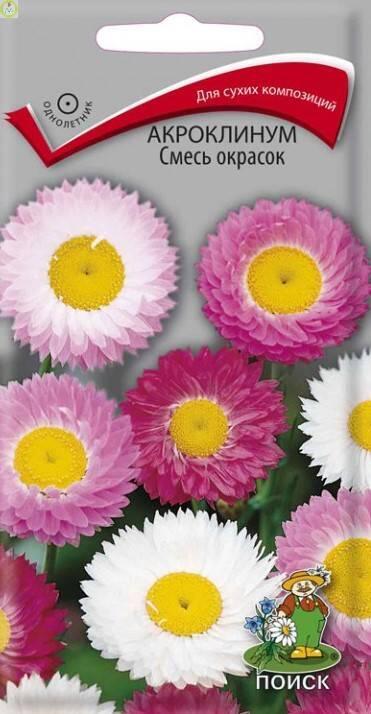 Купить оптом в Ботанике семена Акроклинум Смесь окрасок Поиск бренд Поиск