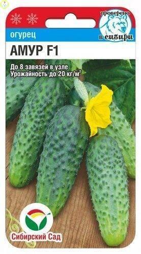 Купить оптом в Ботанике семена Огурец Амур F1 СС бренд Сиб.сад