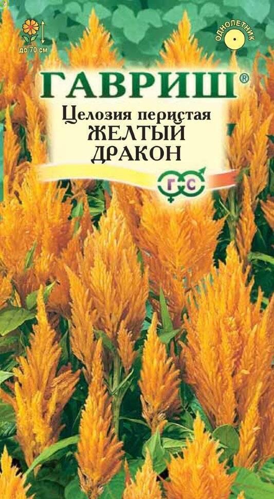 Купить оптом в Ботанике семена Целозия Желтый дракон перистая* Гав бренд Гавриш