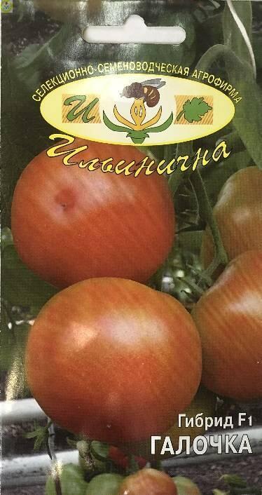 Купить оптом в Ботанике семена Томат Галочка F1 Иль бренд Ильинична