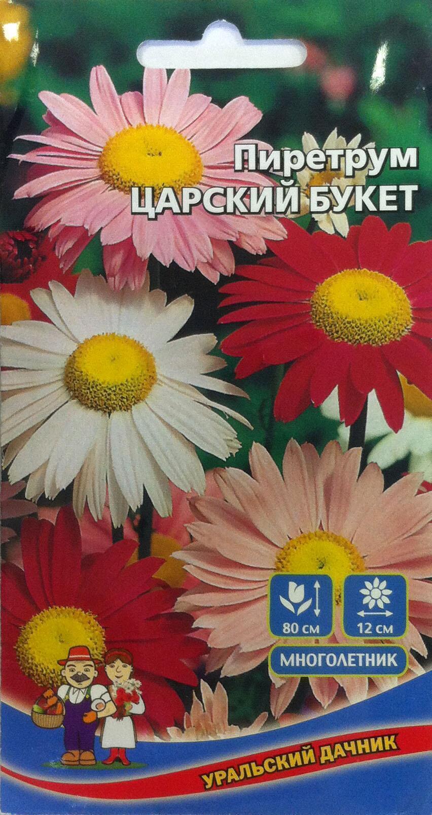 Купить оптом в Ботанике семена Пиретрум Царский букет УД бренд Уральский дачник