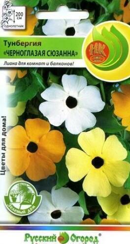 Купить оптом в Ботанике семена Тунбергия Черноглазая Сюзанна НК бренд НК