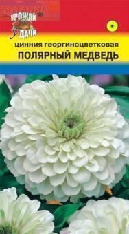 Купить оптом в Ботанике семена Цинния Полярный медведь УУ бренд Урожай Удачи