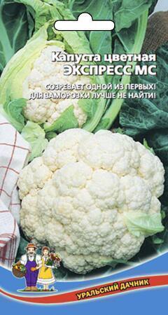 Купить оптом в Ботанике семена Капуста цветная Экспресс МС УД бренд Уральский дачник