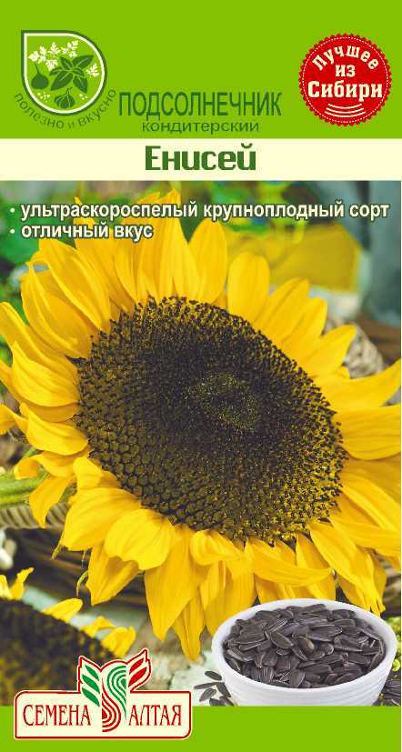 Купить оптом в Ботанике семена Подсолнечник Енисей СА бренд Семена Алтая