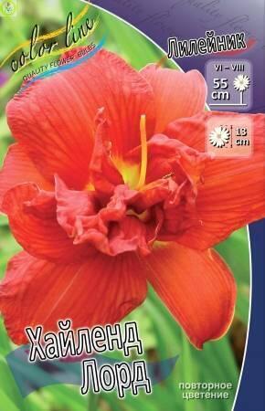 Купить оптом в Ботанике Лилейник Хайленд Лорд 25шт