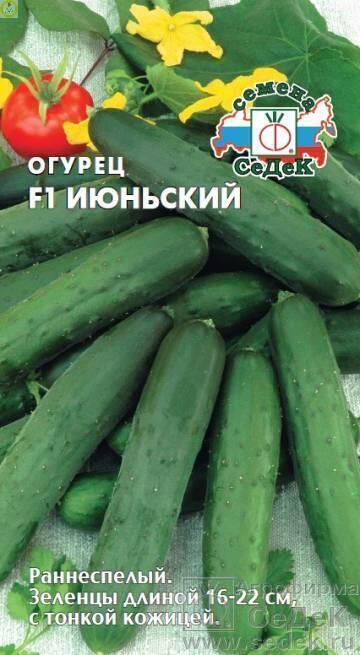 Купить оптом в Ботанике семена Огурец Июньский F1 Сед бренд СеДеК