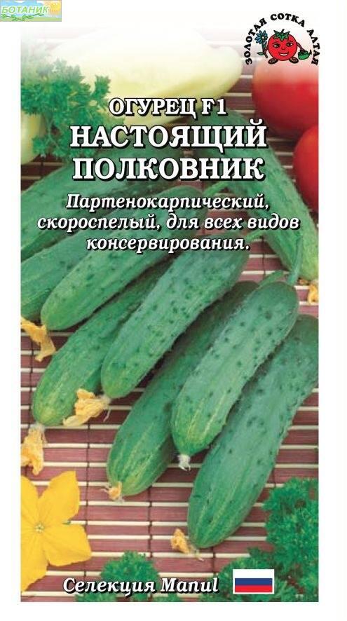 Купить оптом в Ботанике семена Огурец Настоящий полковник F1 ЗС бренд Золотая сотка