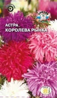 Купить оптом в Ботанике семена Астра Королева рынка Сед бренд СеДеК