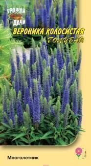 Купить оптом в Ботанике семена Вероника Голубая колосистая УУ бренд Урожай Удачи