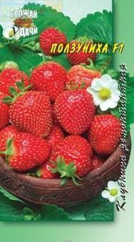 Купить оптом в Ботанике семена Клубника Ползуниха F1 УУ бренд Урожай Удачи