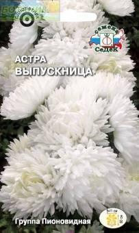 Купить оптом в Ботанике семена Астра Выпускница Сед бренд СеДеК